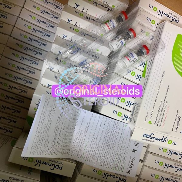 سوماتروپین پی دی گزوث